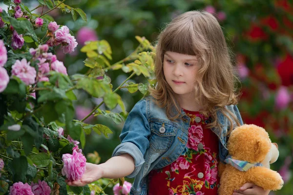 ワイルド ローズの庭でクマのぬいぐるみを持つ少女 — ストック写真