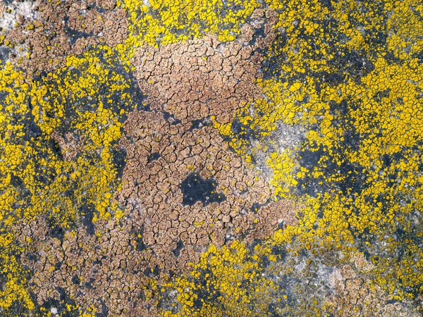 Natural Texture Colored Moss Stone — Stock Photo, Image