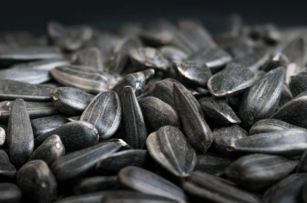 Black sunflower seeds close-up with black background