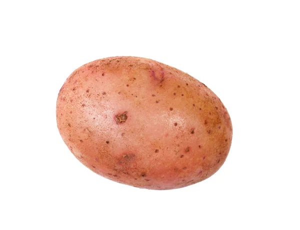 Una patata nuova isolata su sfondo bianco — Foto Stock