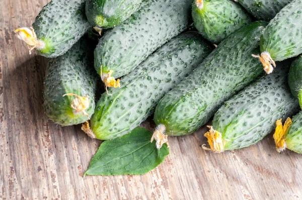 Closeup view of fresh cucumbers on wooden background — Stock Photo, Image