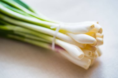 Bir demet yeşil soğan bir tablo portre üzerinde. Alan, seçici odak sığ derinliği