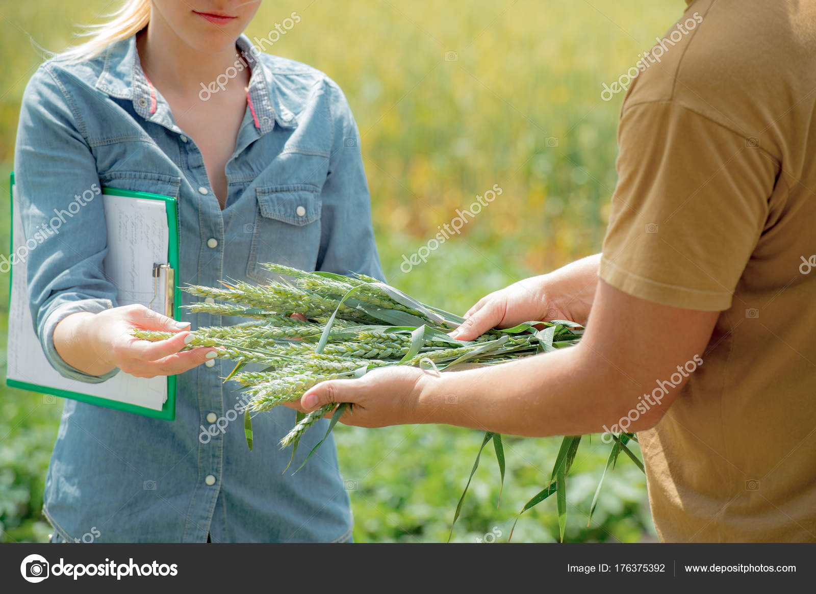 Bir agronomist geleceğin bir meslektir Bir agronomist geleceğin bir meslektir