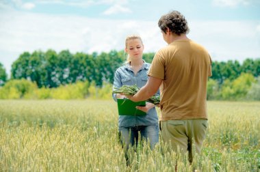 Erkek ve dişi Ziraat Mühendisi çavdar sahasında bir toplantım var ve not almak