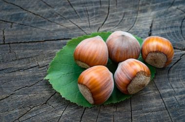 ahşap arka plan üzerinde olgunlaşmış kahverengi fındık. Yakın çekim.