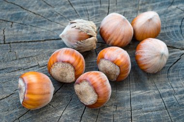 eski ahşap arka plan üzerinde fındık