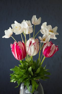 Demet bahar Lale çiçek ve menekşe arka plan üzerinde beyaz anemon çiçekleri