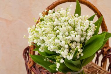 sepet içinde vadideki zambak buketi