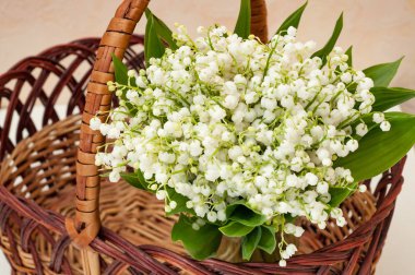 Sepet içinde Vadideki Zambak güzel buket. Yakın çekim görünümü