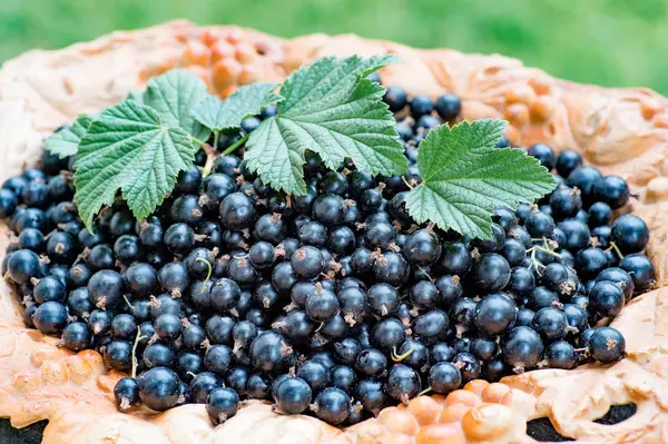 Ripe blackcurrant berries with leaves, Close-up on wooden plate — Stock Photo, Image