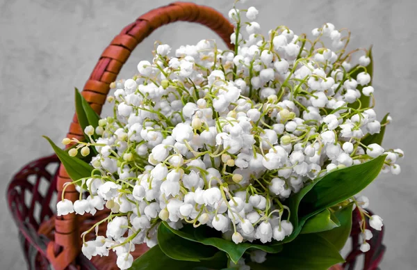 Bouquet de petites fleurs blanches dans le panier — Photo