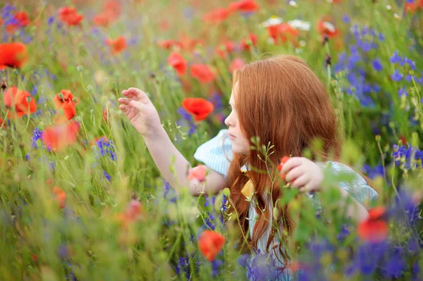 A cute girl in field of wildflowers in the open air. The girl in — Stock Photo, Image