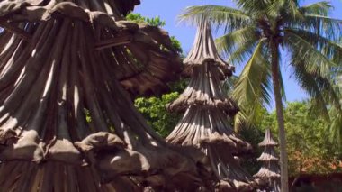 Eski hurma dalları geri dönüştürülmüş malzemelerden yapılmış Noel ağaçları