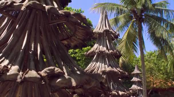 Arbres de Noël fabriqués à partir de matériaux recyclés de vieilles branches de palmier — Video