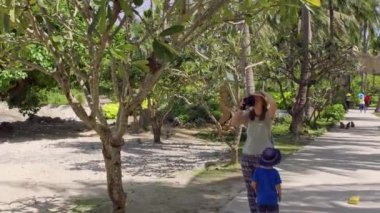 Kadın ağaç üzerinde oturan bir makak maymunu resmini alır. Monkey Island, Vietnam
