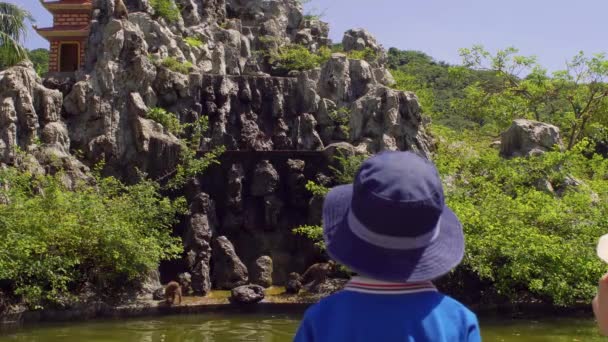 Toddler pojke tittar på Makaker apor hoppa på stenar. Monkey Island, Vietnam — Stockvideo