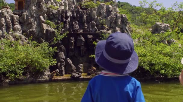 Toddler boy looking at macaque monkeys jumping on rocks. Monkey Island, Vietnam — Stock Video