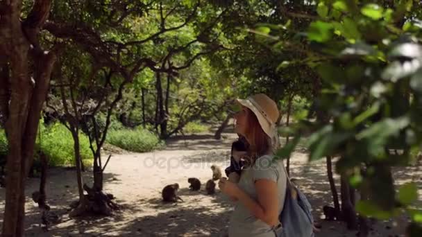 Frau betrachtet einen Makakenaffen, der auf dem Baum sitzt. Affeninsel Vietnam — Stockvideo