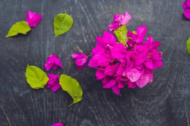 Eski ahşap arka plan üzerinde bahar mor çiçek ve bahar mojito içmek