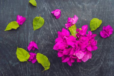 Eski ahşap arka plan üzerinde bahar mor çiçek ve bahar mojito içmek