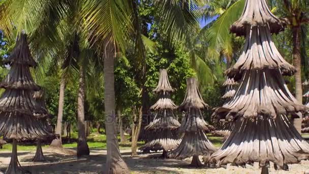 Kerstbomen gemaakt van gerecyclede materialen uit oude palm takken — Stockvideo
