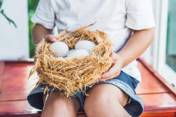 Nido con Uova di Pasqua in mano — Foto Stock