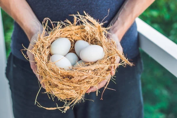 Nest met paaseieren in handen — Stockfoto