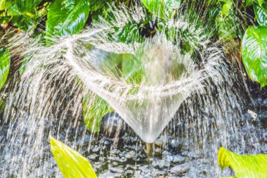 Küçük çeşme sessiz gölet. yaz günü parkta