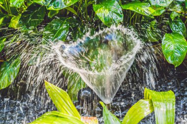 Sessiz havuzda küçük çeşme