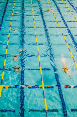 yüzücüler havuza genel görünümü