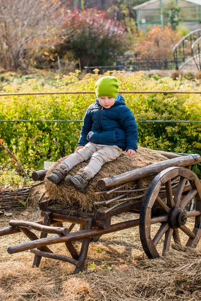 Boy sitting at a vintage wooden carriage — Stock Photo, Image