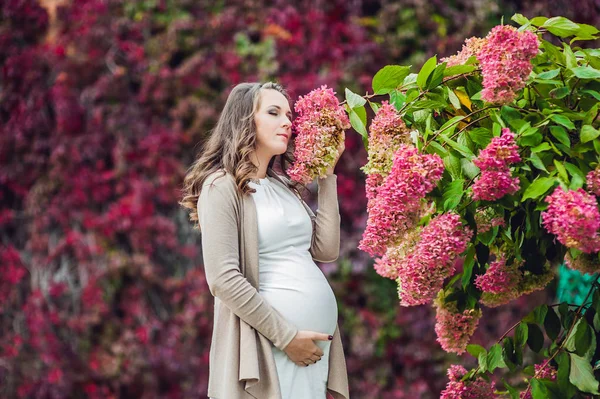 Těhotná žena stojící na červené podzimní plot — Stock fotografie