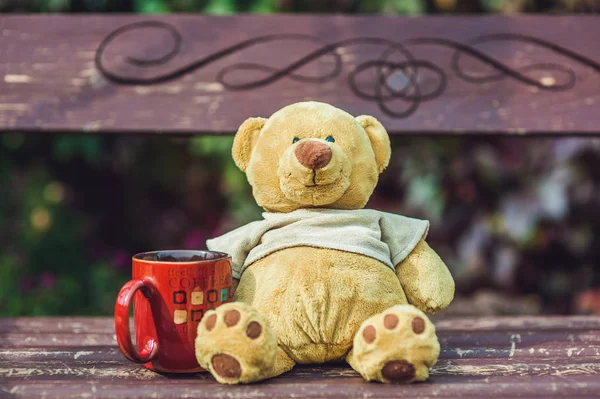 Teddybär sitzt mit einer Tasse — Stockfoto