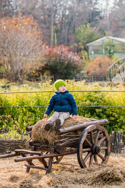 Boy sitting at a vintage wooden carriage — Stock Photo, Image