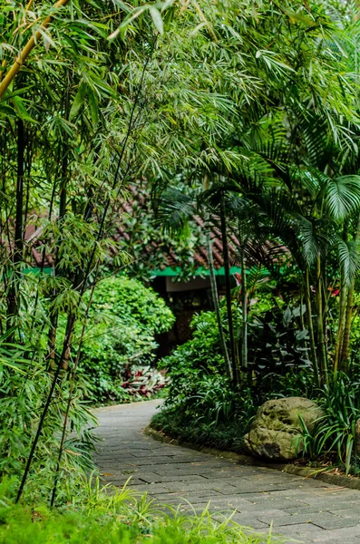 Green park in Hong Kong — Stock Photo, Image