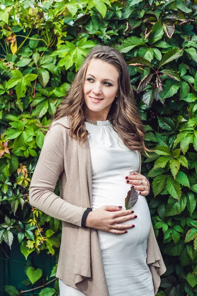 Mujer joven embarazada de pie en el seto —  Fotos de Stock