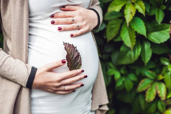Беременная молодая женщина держит живот — стоковое фото