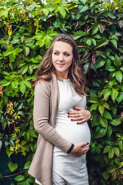 Incinta giovane donna in piedi sulla siepe — Foto Stock