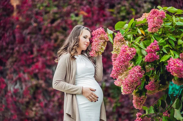 Těhotná žena stojící na červené podzimní plot — Stock fotografie