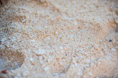 Güzel beyaz kum plaj Boracay