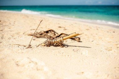 Güzel beyaz kum plaj Boracay