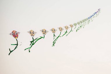 Çin geleneği Peking opera Uçurtma