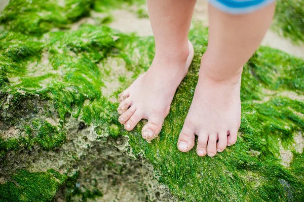 Τα πόδια του παιδιού σχετικά με τα φύκια — Φωτογραφία Αρχείου