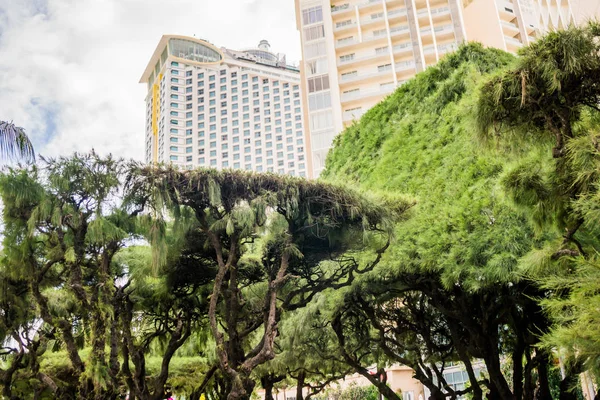 Green environment and advancement city — Stock Photo, Image