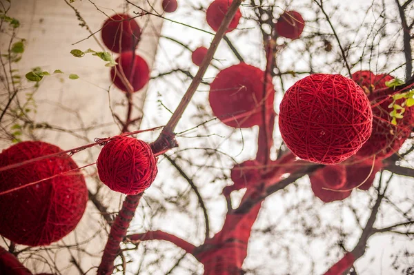 Лиственное дерево, украшенное красными шарами — стоковое фото