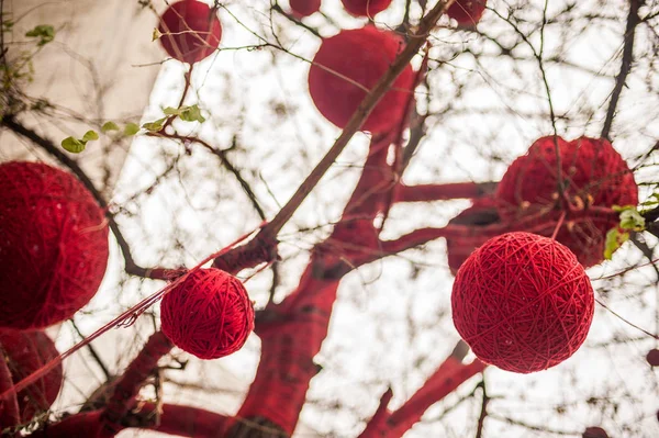 赤のボールで飾られた落葉性の高木 — ストック写真