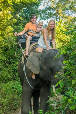 Happy family riding on an elephant clipart