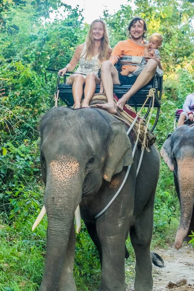 Щаслива Сім Дитиною Катається Слоні — стокове фото