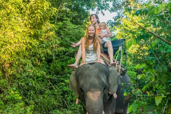 Happy family riding on an elephant — Stock Photo, Image