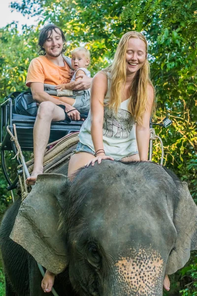 Happy family riding on an elephant — Stock Photo, Image